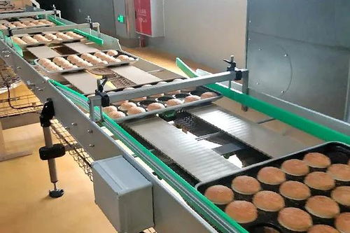 囍——恭祝四川食品廠十萬級(jí)凈化車間成功投產(chǎn)，邁向綠色健康新紀(jì)元